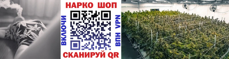 Сколько стоит Курчалой МЕТАДОН  АМФЕТАМИН  Бошки Шишки  Экстази  А ПВП  Галлюциногенные грибы  МЕФ 