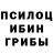 Галлюциногенные грибы GOLDEN TEACHER BCSky
