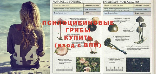 а пвп мука Надым
