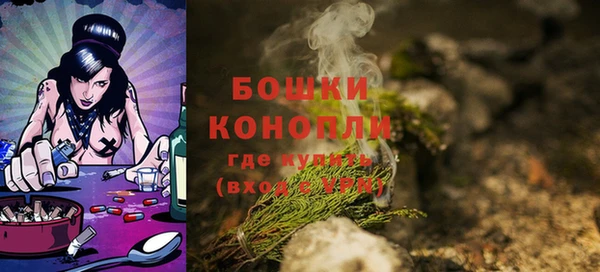 шишки Ачинск