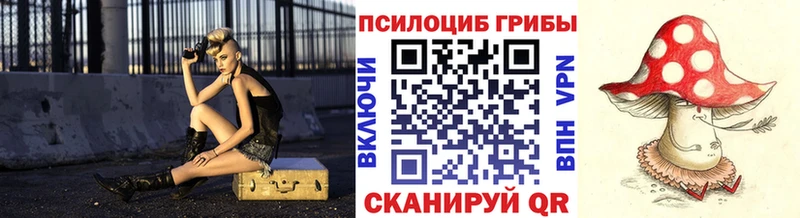 Галлюциногенные грибы мухоморы  Курчалой 