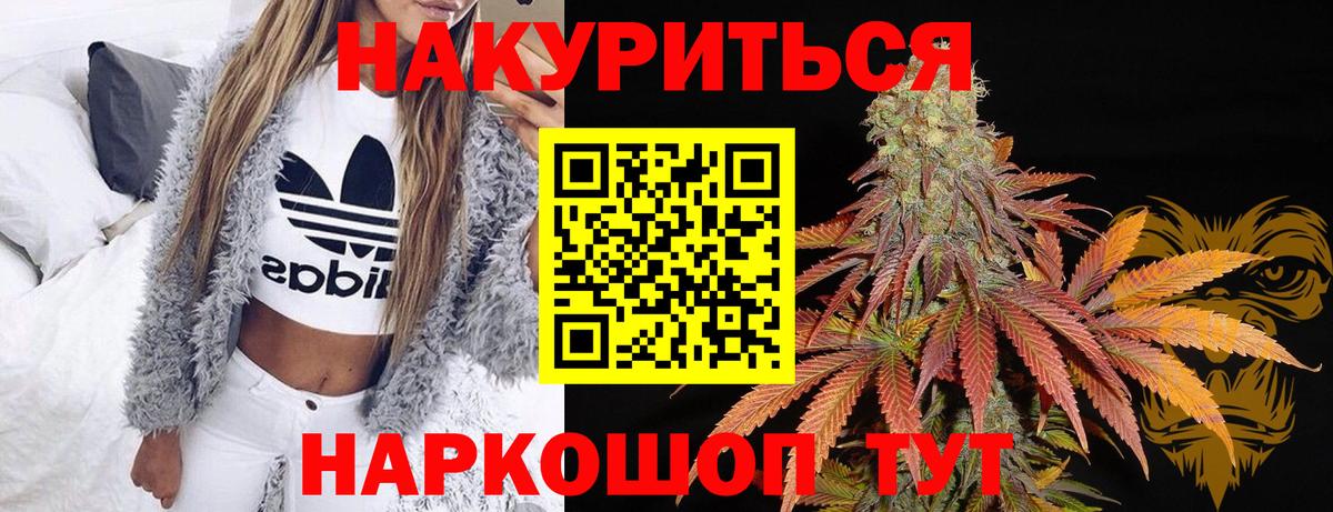 Бошки Шишки сатива  Вход с VPN  Курчалой  Конопля планчик 